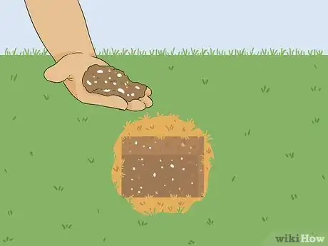 Image intitulée Bring Back Dead Grass Step 2