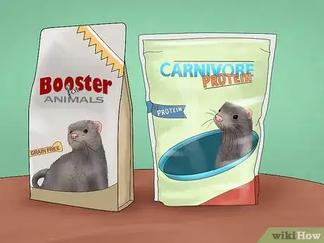 Image intitulée Care for a Ferret Step 10