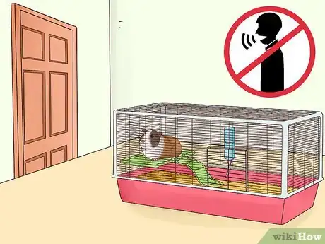Image intitulée Tame Your Guinea Pig Step 2