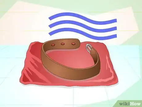 Image intitulée Clean Dog Collars Step 9