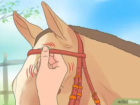 Image intitulée Bridle a Horse Step 8