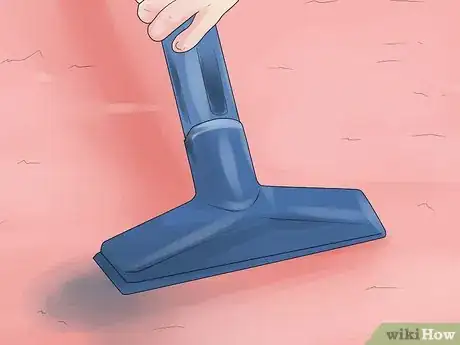 Image intitulée Remove Pet Urine from Carpet Step 14