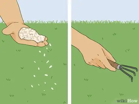 Image intitulée Bring Back Dead Grass Step 8