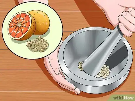 Image intitulée Treat Dog Worms With Food and Herbs Step 8