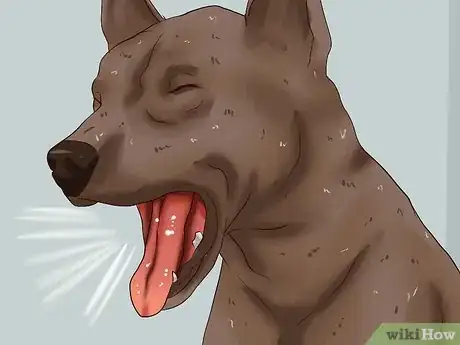 Image intitulée Treat Worms in Dogs Step 4