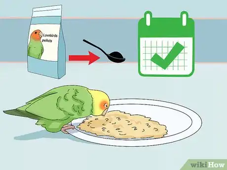 Image intitulée Feed Lovebirds Step 7