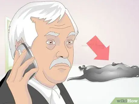 Image intitulée Perform CPR on a Dog Step 1