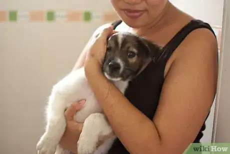 Image intitulée Bathe a Puppy for the First Time Step 7