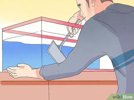 Image intitulée Make Your Fish Live Longer Step 15