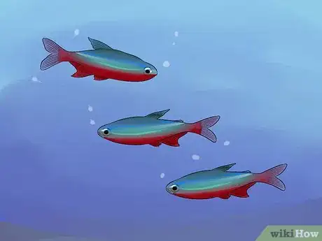 Image intitulée Help a Betta Fish Live Longer Step 11