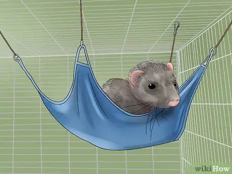 Image intitulée Care for a Ferret Step 2