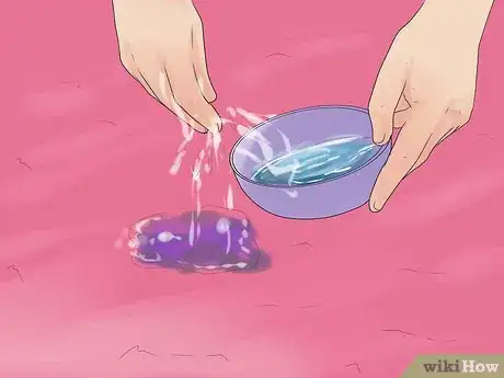 Image intitulée Remove Pet Urine from Carpet Step 16