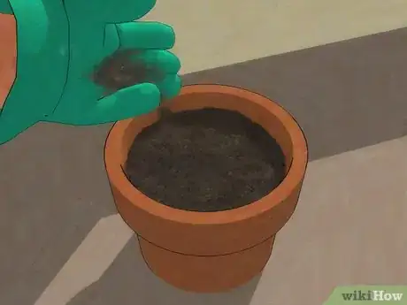Image intitulée Choose a Venus Flytrap Step 6