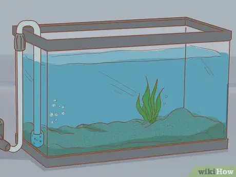 Image intitulée Add Fish to a New Tank Step 8