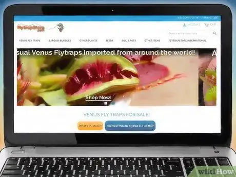 Image intitulée Choose a Venus Flytrap Step 5