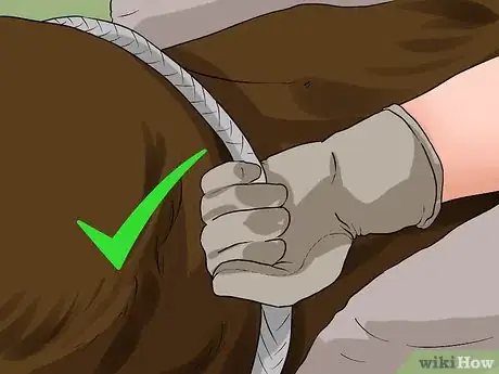 Image intitulée Ride a Bull Step 7