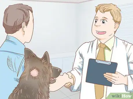 Image intitulée Grow Dog Hair Back Step 1
