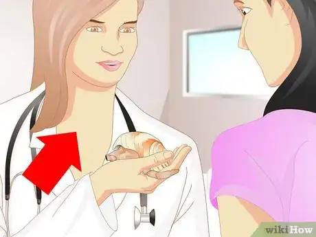 Image intitulée Tell if a Hermit Crab is Sick Step 13