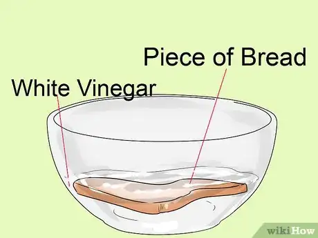 Image intitulée Get Rid of Tobacco Smell Fast Step 12