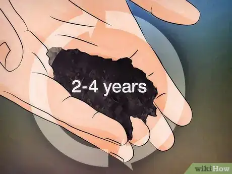 Image intitulée Grow a Jade Plant Step 11