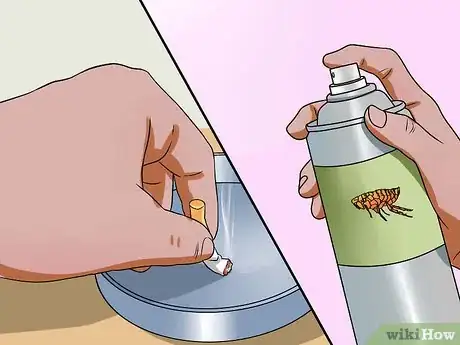 Image intitulée Prevent Tear Staining in Dogs Step 5