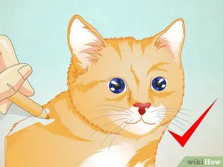 Image intitulée Draw a Cat Face Step 8