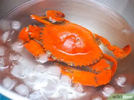 Image intitulée Prepare Crabs Step 11