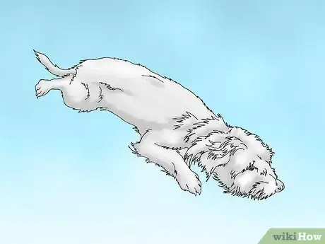Image intitulée Care for a Dog with a Torn ACL Step 1
