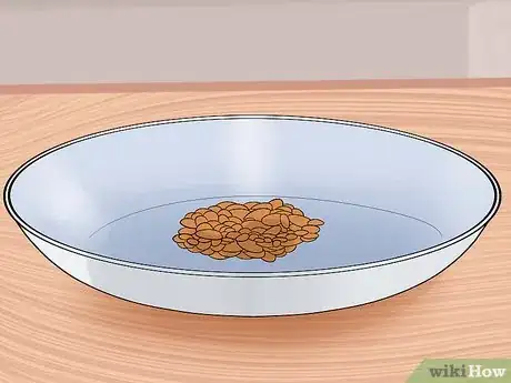 Image intitulée Find a Lost Hamster Step 10