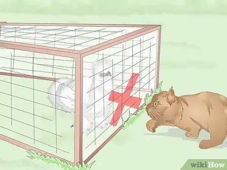 Image intitulée Care For Silkie Chickens Step 2