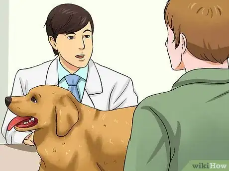 Image intitulée Clean a Dog's Wound Step 11