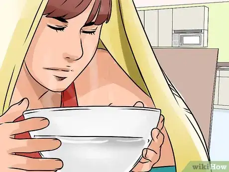 Image intitulée Get Rid of Sinus Congestion Step 1