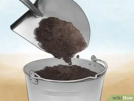 Image intitulée Catch a Queen Ant Step 8