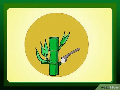 Image intitulée Propagate Lucky Bamboo Step 3Bullet2