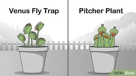 Image intitulée Get Rid of Flies Outside Step 10