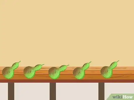 Image intitulée Dry Gourds Step 10