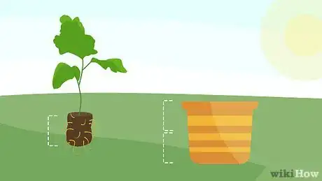 Image intitulée Plant Mums Step 10