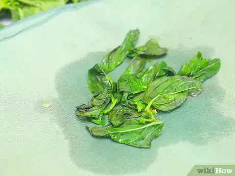 Image intitulée Make Basil Oil Step 5