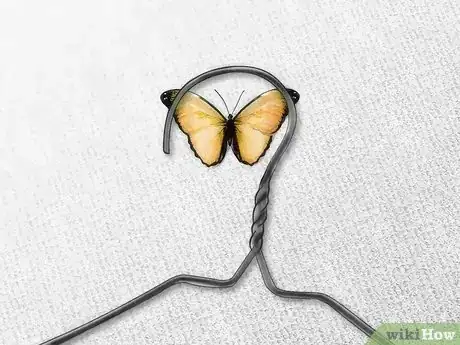 Image intitulée Care for a Butterfly with a Broken Wing Step 5