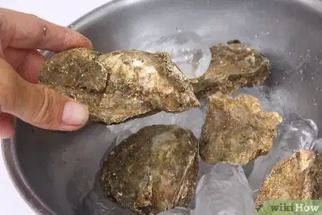 Image intitulée Store Fresh Oysters Step 3