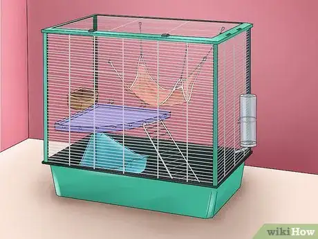 Image intitulée Care for a Ferret Step 1