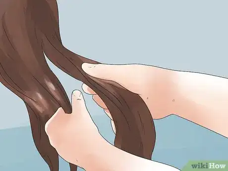 Image intitulée Braid a Horse's Mane Step 10