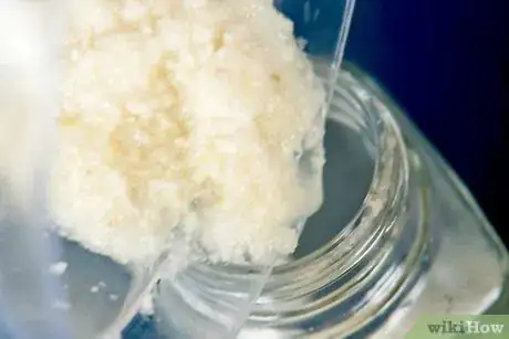 Image intitulée Make Garlic Paste Step 6