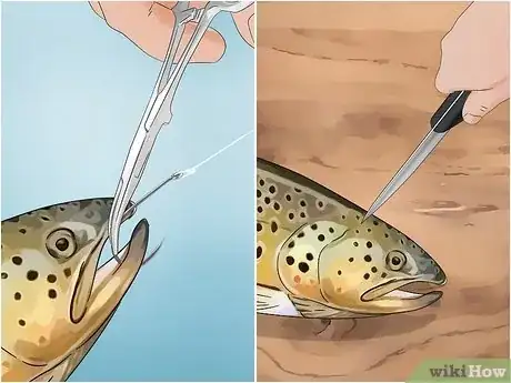 Image intitulée Fish in a Lake Step 26
