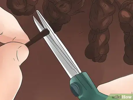 Image intitulée Braid a Horse's Mane Step 22