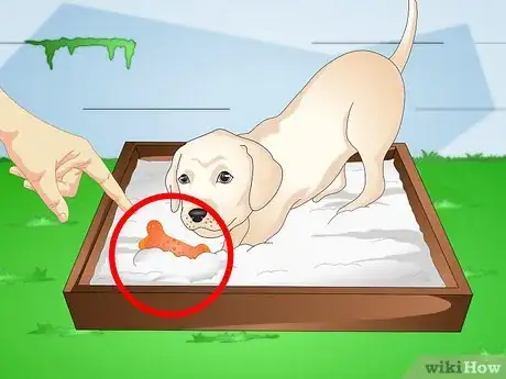 Image intitulée Make a Puppy Stop Digging Step 8