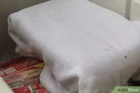 Image intitulée Keep Ice Cream from Melting in a Cooler Step 10