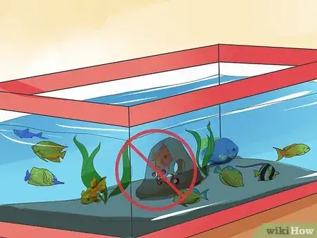 Image intitulée Make Your Fish Live Longer Step 10