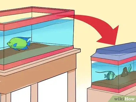 Image intitulée Make Your Fish Live Longer Step 19