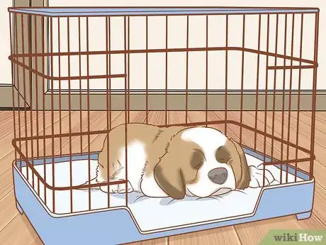Image intitulée Grow Dog Hair Back Step 9